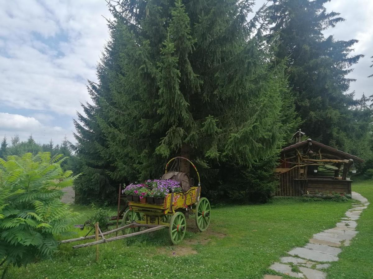 "Моето Любимо Място", Смолянски Езера - "My Favorite Place", Smolyan Lakes Extérieur photo