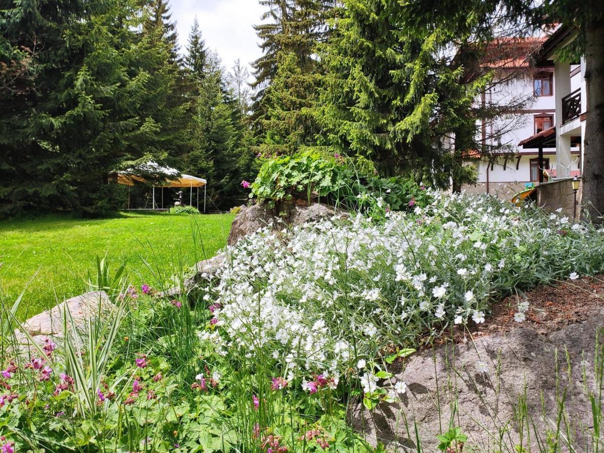 "Моето Любимо Място", Смолянски Езера - "My Favorite Place", Smolyan Lakes Extérieur photo