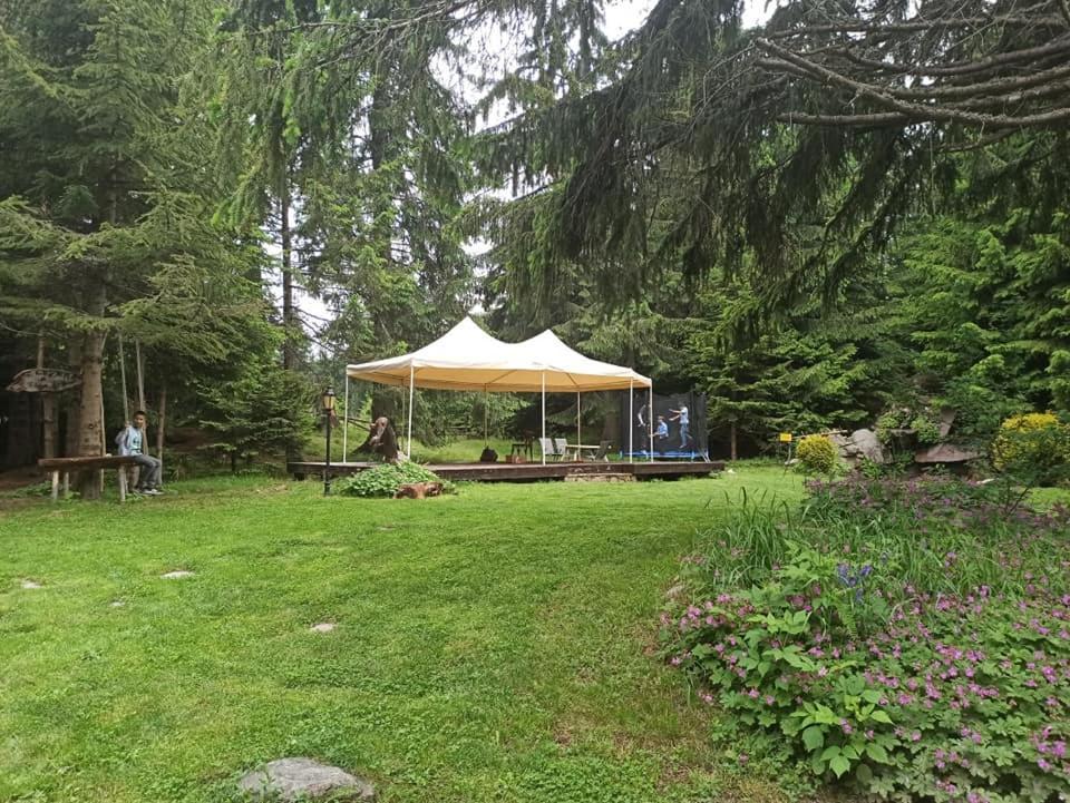 "Моето Любимо Място", Смолянски Езера - "My Favorite Place", Smolyan Lakes Extérieur photo