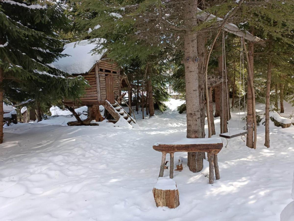 "Моето Любимо Място", Смолянски Езера - "My Favorite Place", Smolyan Lakes Extérieur photo